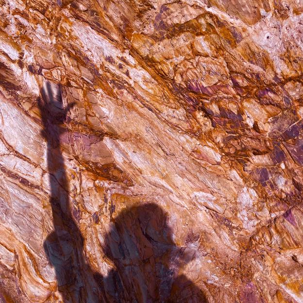 ANAÏS GOGO FOR KICKCANCER