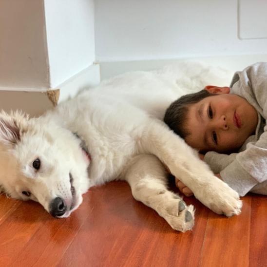 Igna corre por la investigación