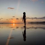 All for 101 Genomes and 101 Genomes for all!