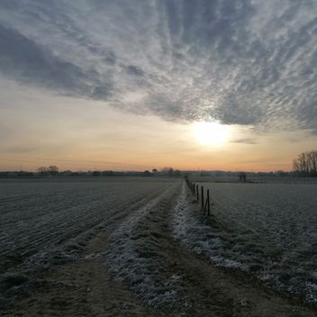 Bart Deprez