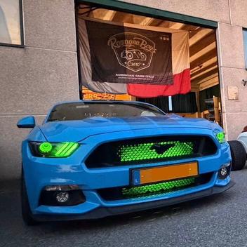 Romagna Boys Luxembourg_Blue Mustang
