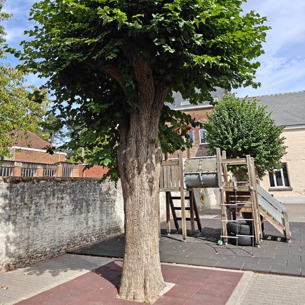 Les instits de Feluy