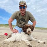 De Weis goes Gold 2.0