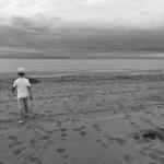 Walk the path for Leo