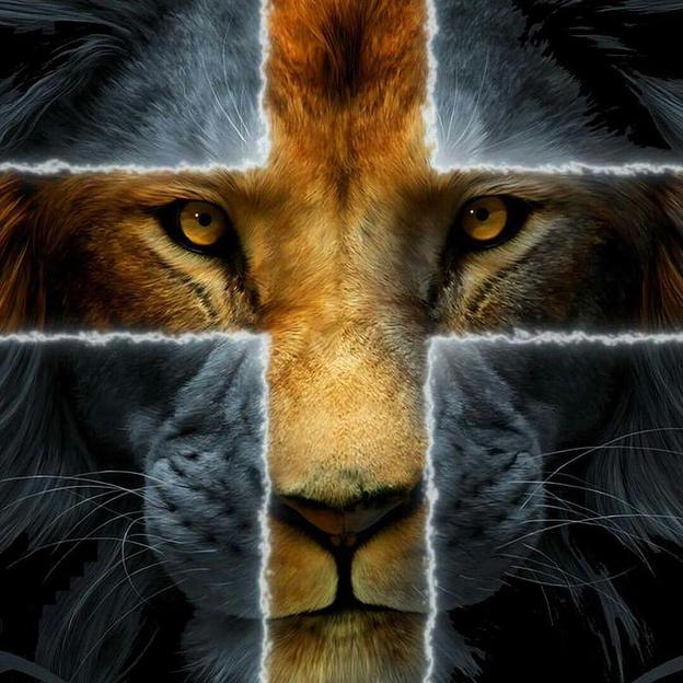 Compromiso contra el cáncer