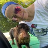 En Haerz (a Been) fir de gudden Zweck