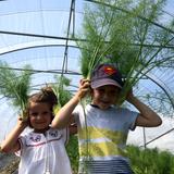 Emilio le cousin de Léo