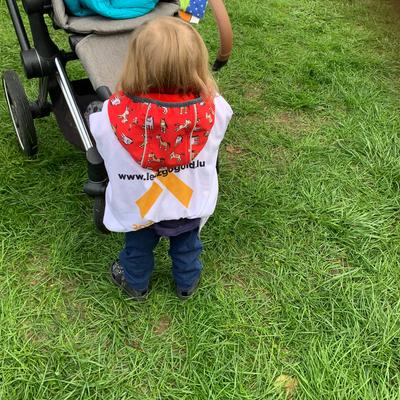 Mir kämpfen mat Iech