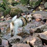 Pastiti goes Gold :)