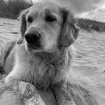 Emmer erem zesummen fir d’Recherche