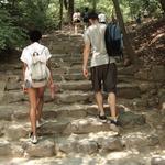 Climb stairs against cancer