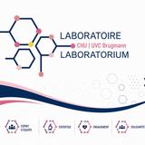Laboratoire CHU Brugmann / Laboratorium UVC Brugmann