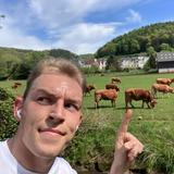 Maxime le petit cochon goes Gold