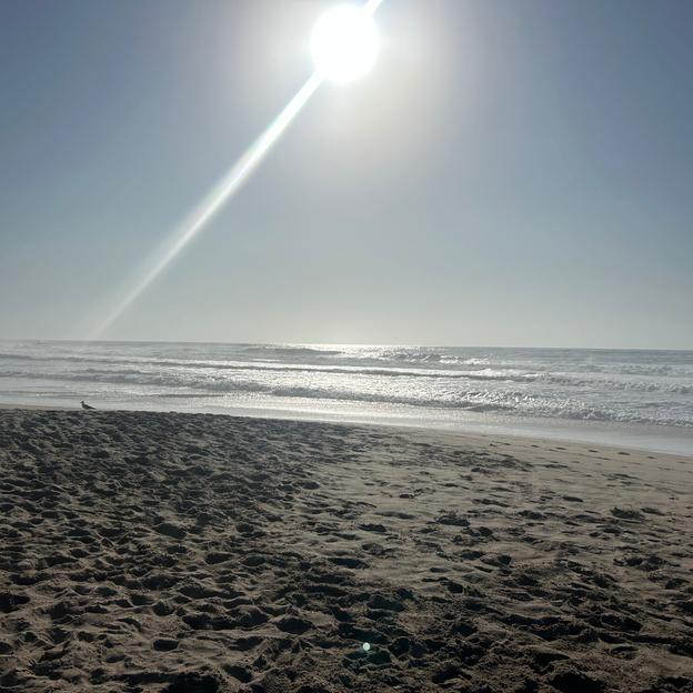 Juntos curaremos el cancer!!!