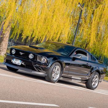 Les Romagna Boys roulent pour les enfants